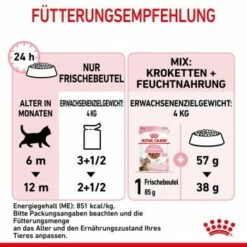 ROYAL CANIN KITTEN STERILISED In Soße 12 X 85g -ANIMON Geschaft 8d171ca751cce37016bda574b8a71985c8aac177 1298264 de DE Kittenster 7
