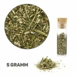 Canadian Cat Company Baldrian & Catnipspielzeug Probierset Spielkissen, 6er Pack -ANIMON Geschaft 9084cda1a3230ea12cfd3db3496e655edf4c93f7 1494153 de DE d37f6841f37369a22fb7b8e5b9b58b803ee3af0dbORigI