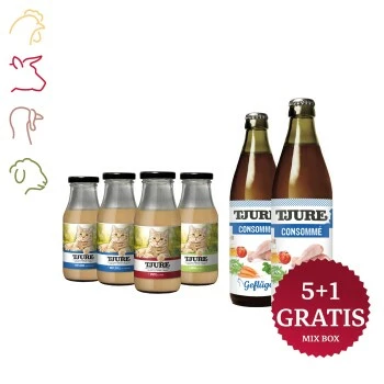 Tjure Mix-Box Katze 3 Tjure Mix-Box Katze