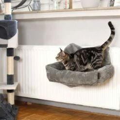 Lionto Katzenbett Für Heizungen Dunkelgrau 9 Lionto Katzenbett Für Heizungen Dunkelgrau -ANIMON Geschaft 92349d1d2fd4e32f76865505193cf9ee08e13e37 1665987 de DE a0d9dca6edf4833201f07bd00829ef66b5f25150oYmo2E