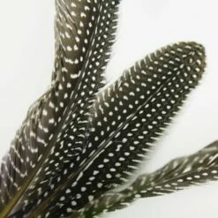 Schlitzohr Katzenangel Federanhänger 5x -ANIMON Geschaft 93b8e0c984d323f24d455bf8e74e2dbacef5703e 1484675 de DE 7b80f213f44ebcad765dbdebc25bf2d2f0177dbd64kHU2