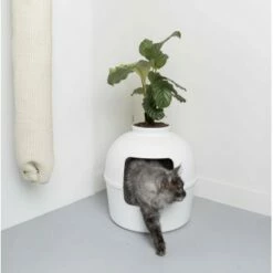 RHR Quality Katzentoilette Flower XXL 10 RHR Quality Katzentoilette Flower XXL -ANIMON Geschaft 93f503e3b5e2d21cc0461e97d9127562df0337e6 1641853 de DE 1e822790dd4545375dbf65f839e659bd6b299a76bokJue