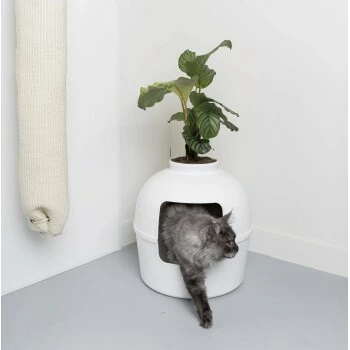 RHR Quality Katzentoilette Flower XXL 5 RHR Quality Katzentoilette Flower XXL – Bild 3
