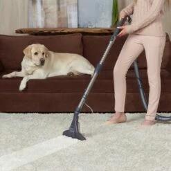 THOMAS DryBox Amfibia Pet 17 THOMAS DryBox Amfibia Pet -ANIMON Geschaft 9953282c61e03abd8b9e8af05edae29417570062 1406734 de DE 1c8fb73e21f9aae62063930fedd2d58afb94e8aanSOWPf