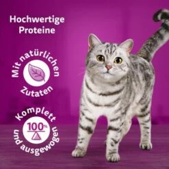 Whiskas Pure Delight Mega Pack Geflügel Ragout In Gelee 40 X 85g -ANIMON Geschaft 9f640c36363dfb61f5b5632a4b10e09a36dea899 1410723 de DE Whiskas2 1