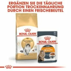 ROYAL CANIN Norwegian Forest Adult 10 Kg -ANIMON Geschaft a02b9db4fbab44608d8f96a75fee25646abd3ee2 af41e3357e03e3d428ca315b755dc856d14ee9c9