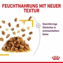 ROYAL CANIN SENSORY Taste In Gelee Für Wählerische Katzen 12x85g -ANIMON Geschaft a0a9a743b6a6722f849df958bc9024e93eba856b e74a0546ac96b90fff45a5cac73c2ea520ddf555