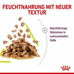 ROYAL CANIN SENSORY Smell In Soße Für Wählerische Katzen 12x85g -ANIMON Geschaft a86352468fe9df558f971b2826cf8a2c3c96db24 e8cfb3af270c23af70279408fd79e1fcdbf01aec