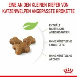 ROYAL CANIN Kitten 4 Kg -ANIMON Geschaft a8df74b6725246cc1c5fa7ed87e8fdc0a4cfc24f 3182550702973 6