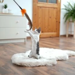 Schlitzohr Federwedel Birdy 3er Pack -ANIMON Geschaft ad71433917b4c75207a76b8cde2a63e28ac6a3f4 1659562 de DE 3439e97a8a6ef7574f0506829a0694961b8792bfHS2VqL