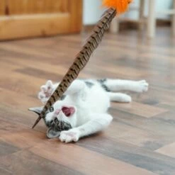 Schlitzohr Federwedel Birdy 3er Pack -ANIMON Geschaft b2468018bd2b888c11ee64154d86732de60c7830 1659562 de DE 7d36675a42a956412d003b03e1f072b0ae0379063UsHBd