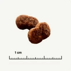 SELECT GOLD Hair+Skin Senior Geflügel & Lachs 2,5 Kg -ANIMON Geschaft b42128ae83c41454d6be7d6047b7c0aaed5f051a 1001086011 de DE 6