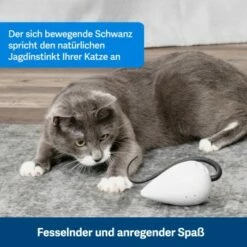 PetSafe Automatisches Katzenspielzeug RoloRat -ANIMON Geschaft b65e953878b463eb5125c940634b84e8b7c79a3f 1351522 de DE 3daf7dbb27d01ce7d63f06677a32dd6cde28abb9X2tLJP