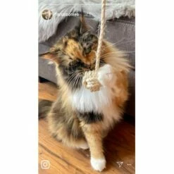 Kater Kasimir Deluxe Set Mit 9 Beliebten Katzenspielzeugen Aus Naturmaterial Und Handgemachtem CATMOM Armband -ANIMON Geschaft b933584b7dcd56603dddd340f05442bfffc43e18 1408141 de DE 8e1afbeea10c4c53b2e3c89a347993a00031803ayqowzr