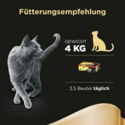 Sheba Delikatesse In Gelee 40x85g -ANIMON Geschaft bbaa02f757fde6870dc20a49fc3a0038b9dee9ca da996aa0a5acf0483f2a5edefc15d5dc9cb6c05f