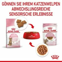ROYAL CANIN KITTEN STERILISED In Soße 12 X 85g -ANIMON Geschaft c6ce4b46742d7b9996323d35694dd82766b14b84 1298264 de DE Kittenster 5