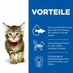 Hill's Science Plan Kitten Thunfisch 7 Kg -ANIMON Geschaft c6fb28c1a799efc2b3725ee5b7be61613fad29ae 52742024431 4