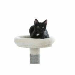 Kerbl Kratzbaum Creative Adventure -ANIMON Geschaft cd831c82afd6be187c9e1aebf4a78e2ebe782c44 ce7c27aa5a680126ca08b882797ce2b921ff7a47