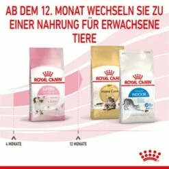 ROYAL CANIN Kitten 4 Kg -ANIMON Geschaft cf133300f1a1c045b6143772211651d61c06ad62 3182550702973 7