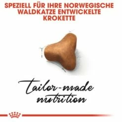 ROYAL CANIN Norwegian Forest Adult 10 Kg -ANIMON Geschaft d10cae32374c526515d65c11aa090e1bcea6d2f3 095e16b98db23d26bf2708e66433860bed6f0d70