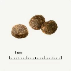 REAL NATURE WILDERNESS Adult Probierpaket Mixpaket 1, Mix-Pack -ANIMON Geschaft d13ec079dfc733868201f90c68c1160fb8a8b3ec 1267094 de DE 6