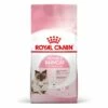ROYAL CANIN Mother & Babycat 2 Kg -ANIMON Geschaft d2a65feae5b2126fce5d567d6da47ced207adfff 3182550707329 11