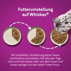 Whiskas Jumbo Pack 1+ Fisch Auswahl In Gelee 80 X 85g -ANIMON Geschaft e9fa5d9648fc621ba0bfa80c21e55ef3f92471aa 1410724 de DE Whiskas 5