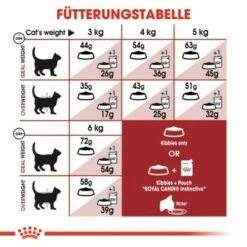 ROYAL CANIN Fit 32 10 Kg -ANIMON Geschaft ea5d3e055ffeb8fe0c515e1a260a774ce18f0e47 01c177acb7ee4fa9df0bc8a0006f3704b6c3568c
