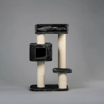 RHR Quality Kratzbaum Devon Rex 3 RHR Quality Kratzbaum Devon Rex