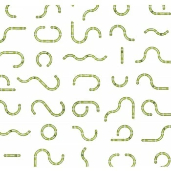 Catit Senses 2.0 Spielschiene SUPER 4 Catit Senses 2.0 Spielschiene SUPER – Bild 2