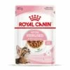 ROYAL CANIN KITTEN STERILISED In Soße 12 X 85g