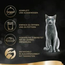 Sheba Delikatesse In Gelee 40x85g -ANIMON Geschaft f08c7fbc696111af0336f2ef99900e13ae432316 1276706001 de DE sheba 2