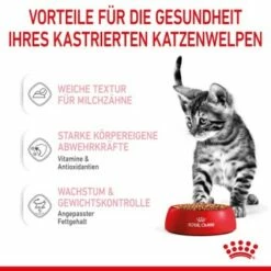 ROYAL CANIN KITTEN STERILISED In Soße 12 X 85g -ANIMON Geschaft f17e534b080d5c9cc35e30c23712b229f48b5cbe 1298264 de DE Kittenster 4