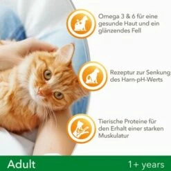 IAMS Vitality Adult Huhn 3 Kg 11 IAMS Vitality Adult Huhn 3 Kg -ANIMON Geschaft f239d7ef57a6054553948e62d3d5feb16002578a 8361bd6d370c2f798bd71fa3242ca269884546de