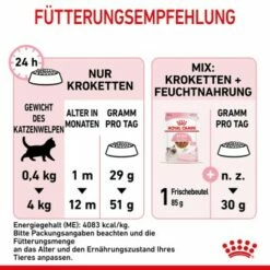 ROYAL CANIN Kitten 4 Kg -ANIMON Geschaft f349286270d1a1ea5ecae381f3a779f25a4052bc 3182550702973 9