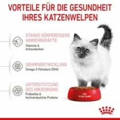 ROYAL CANIN Kitten 4 Kg -ANIMON Geschaft f4a05d762cdc5e6b170f6edd236e6bd5b7278cb0 3182550702973 5