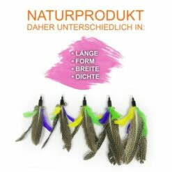 Schlitzohr Katzenangel Federanhänger 5x -ANIMON Geschaft f6a96b93601c3b2f6f7420ade3ecfe56542cca74 1484675 de DE b1d2fd29ad67016b9a6af908251d348edfa467f2BG8aWR