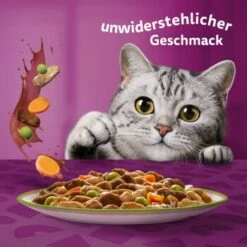 Whiskas Tasty Mix Multipack Chef's Choice In Sauce 40 X 85g -ANIMON Geschaft f6e2ae102927feafb9e342708a0412557690953c 1410720 de DE Whiskas 6