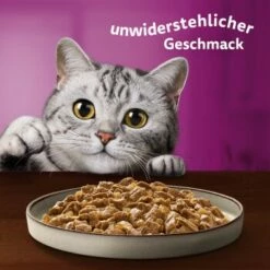 Whiskas Pure Delight Mega Pack Geflügel Ragout In Gelee 40 X 85g -ANIMON Geschaft fb884326dc9636e4843c68e11f5586233a08be8f 1410723 de DE Whiskas 8