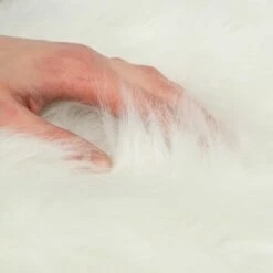 Canadian Cat Company Filzlounge AVA Beige M -ANIMON Geschaft fd8b746ad0dc996bb62efc39f6c670f6be8df30e 1360999 de DE c86a4e6d9ceba2c1e55f3f753eeda095c89215723XoDPL