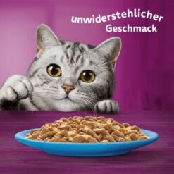 Whiskas Jumbo Pack 1+ Fisch Auswahl In Gelee 80 X 85g -ANIMON Geschaft fec7c318dfc6872c65e754a2b3bf40ee0b91811b 1410724 de DE Whiskas 6
