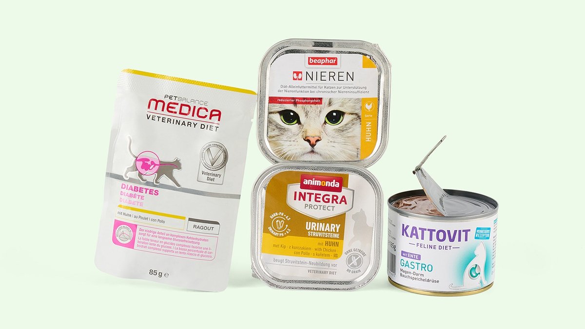 ANIMON Geschaft 1 ANIMON Geschaft -ANIMON Geschaft 4564