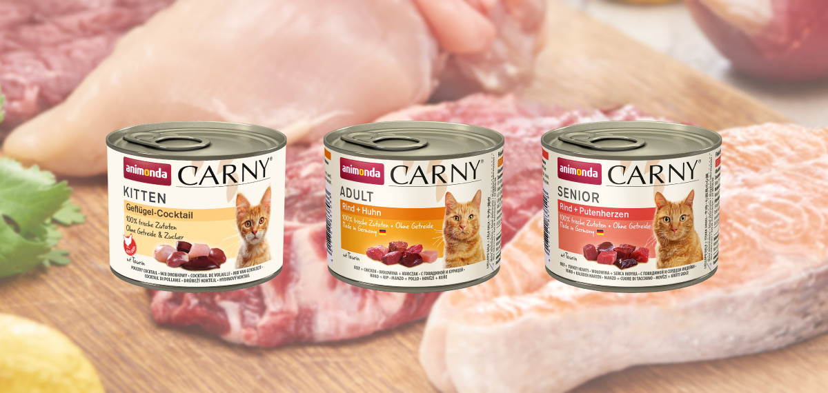 ANIMON Geschaft 2 ANIMON Geschaft -ANIMON Geschaft 54566